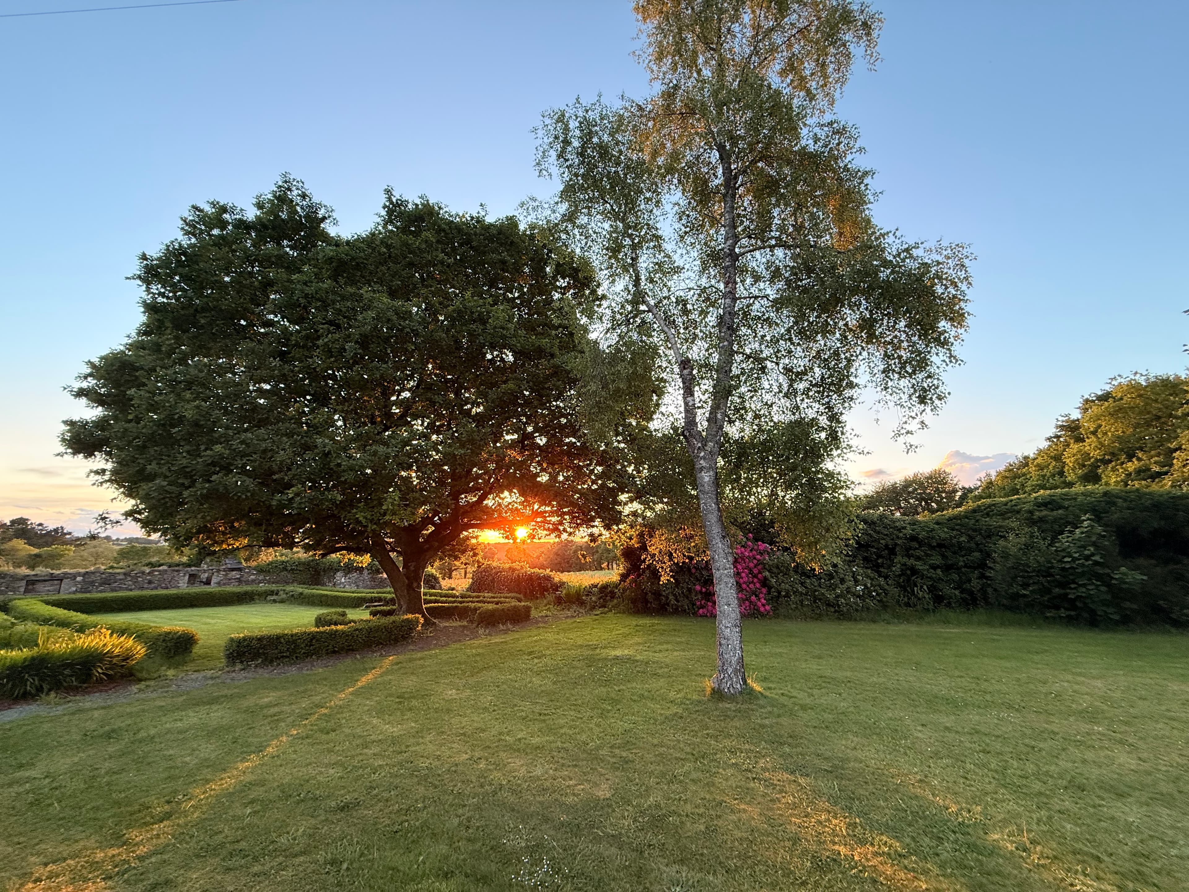 Vue extérieure du gîte avec arbre centenaire